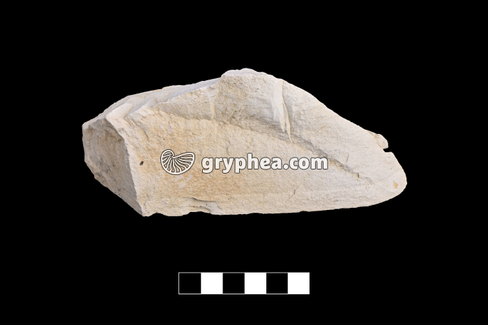 Dolomie - échantillon - gryphea.org